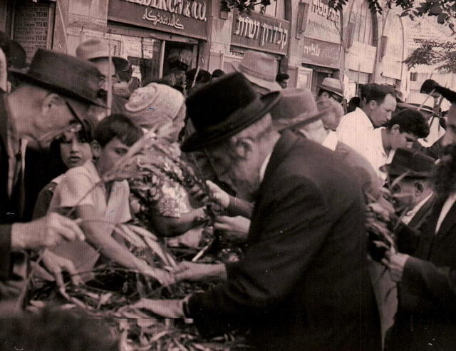 Solomon Silber picking out lulav and esrog.  See notes.