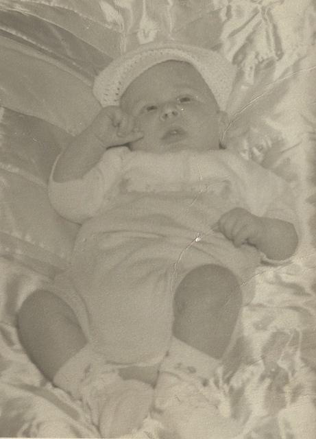 Les Cohn, 1947 8 weeks old