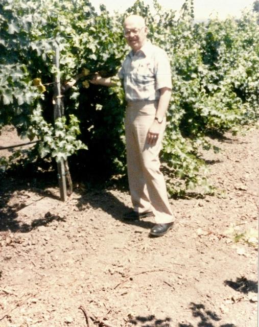 July 1986 - Thelma Hecht & Joe Magariel, Napa Valley.