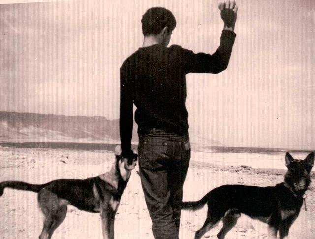 Picture by Joe Weiss in Israel 1960 at Masada