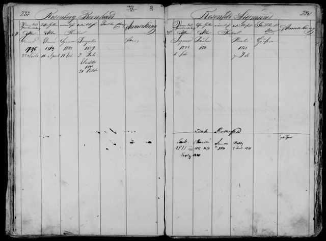 1869 Vienna Census - Sigmund Rosenfeld Family