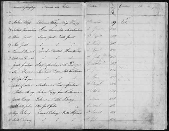 Birth record for Nathan Sonnenschein (older brother to Leni), June 4, 1846