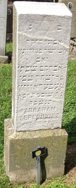 Abraham Alter Teperovitz.  Died Feb 14, 1920