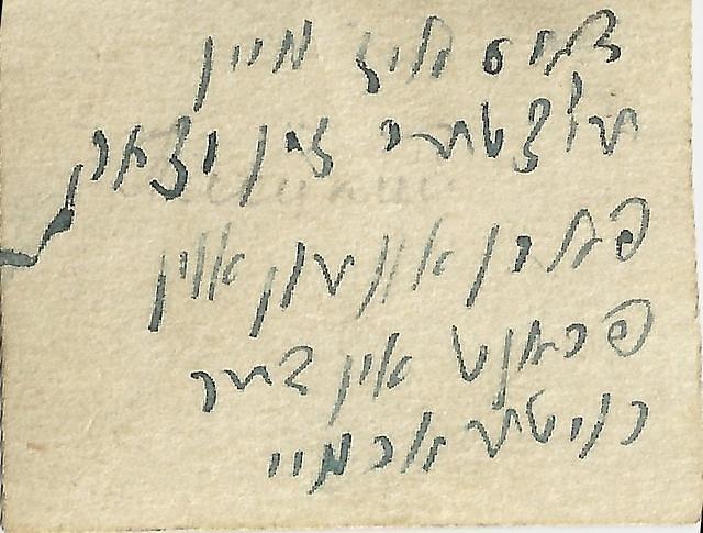 Yitzchak Plocki (back)