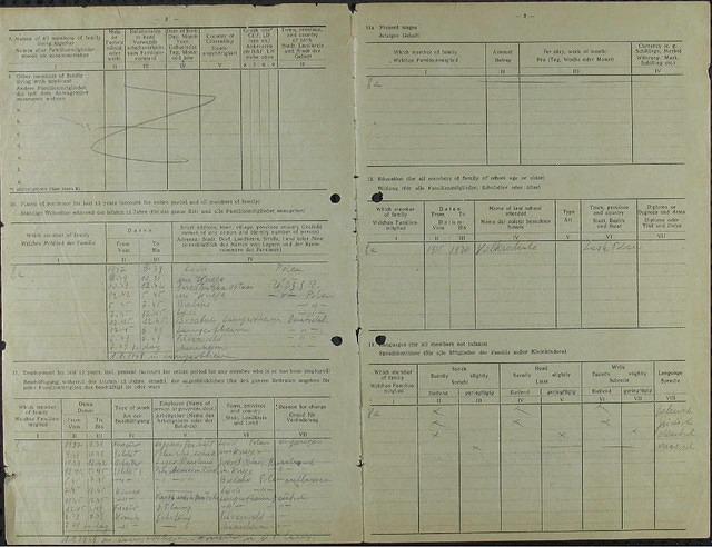 Henryk Herszkowicz Family Application for IRO Assistance 2