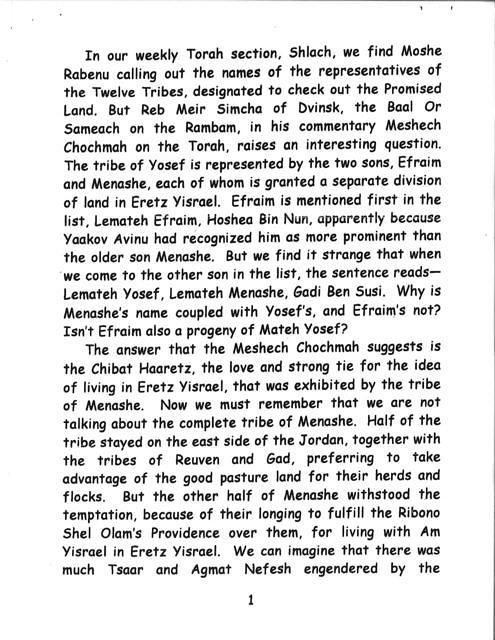 Hesped Eulogy for Menashe Maurice Steinlauf (1 of 3)