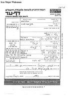 Yitzchak Meir Yad Vashem Pages of Testimony