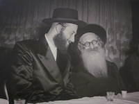 Vulvie w Shamsher Rav