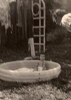 Linda swimming in the backyard, 1953