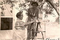 1954 - Anna Hecht and Thelma Clutz Cherry Picking